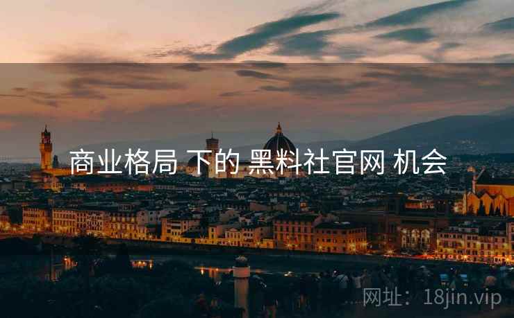 商业格局 下的 黑料社官网 机会