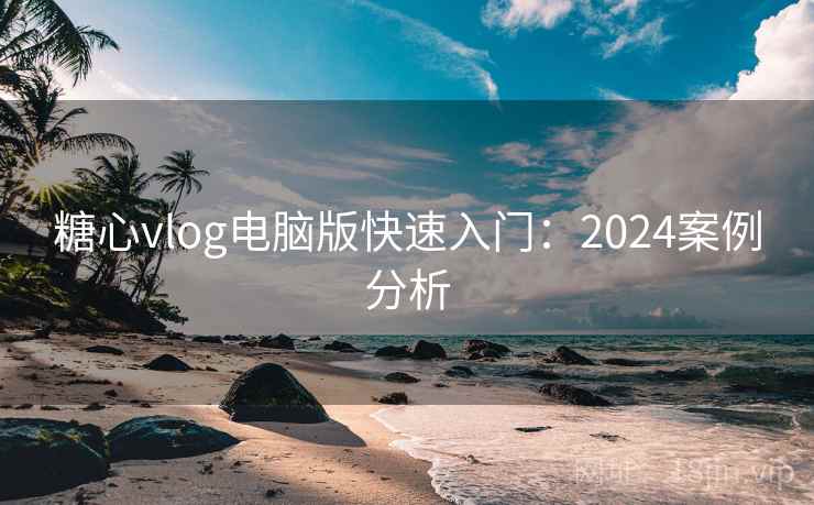 糖心vlog电脑版快速入门：2024案例分析