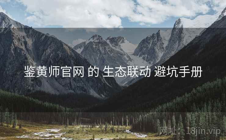 鉴黄师官网 的 生态联动 避坑手册