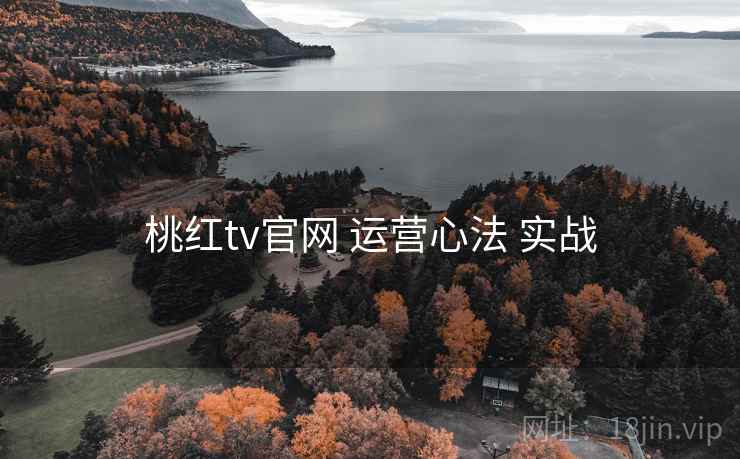 桃红tv官网 运营心法 实战
