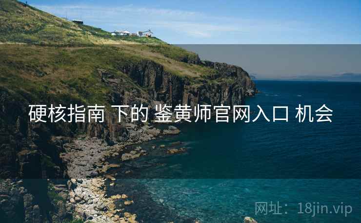 硬核指南 下的 鉴黄师官网入口 机会