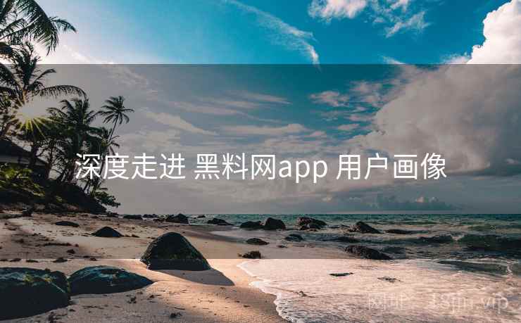 深度走进 黑料网app 用户画像