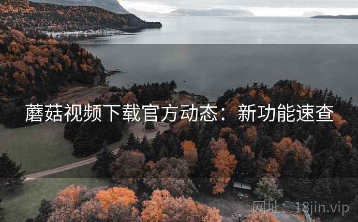 蘑菇视频下载官方动态：新功能速查
