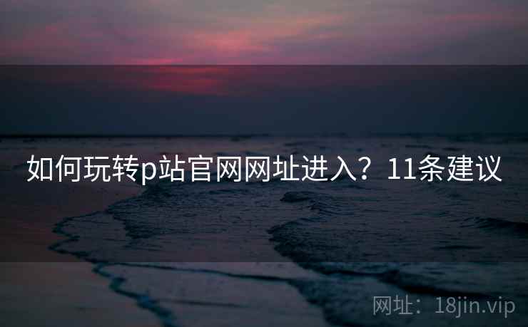 如何玩转p站官网网址进入？11条建议