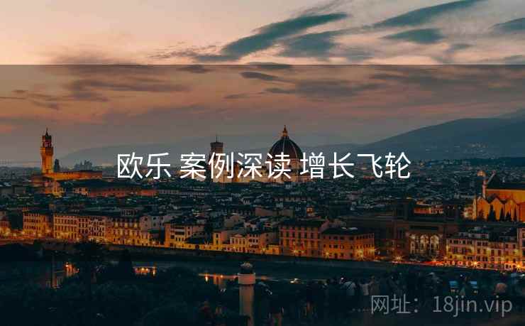 欧乐 案例深读 增长飞轮