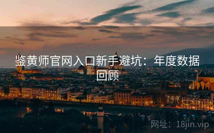 鉴黄师官网入口新手避坑：年度数据回顾