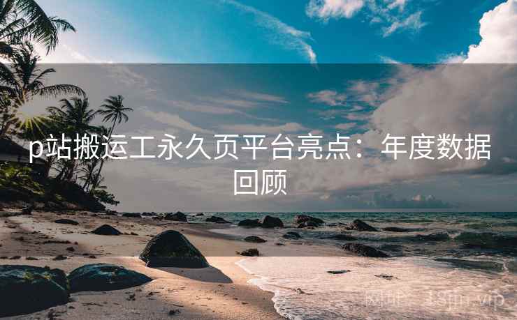 p站搬运工永久页平台亮点：年度数据回顾