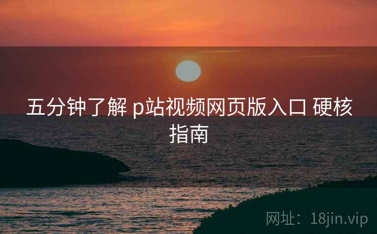 五分钟了解 p站视频网页版入口 硬核指南