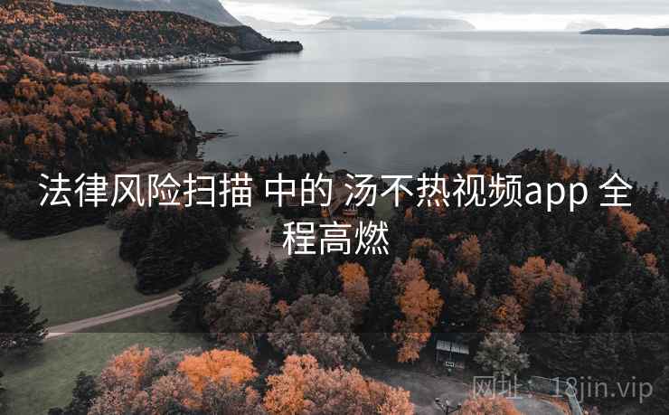 法律风险扫描 中的 汤不热视频app 全程高燃