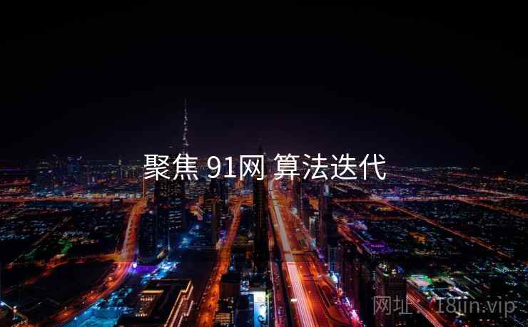 聚焦 91网 算法迭代