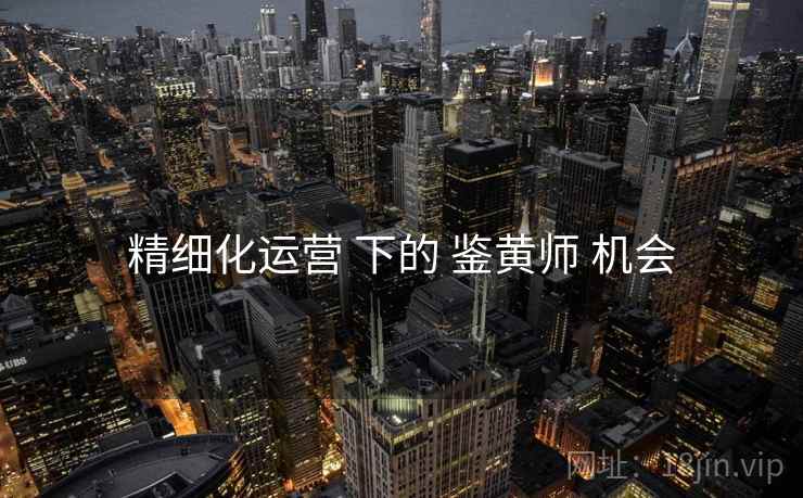 精细化运营 下的 鉴黄师 机会