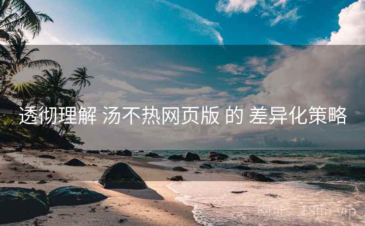 透彻理解 汤不热网页版 的 差异化策略